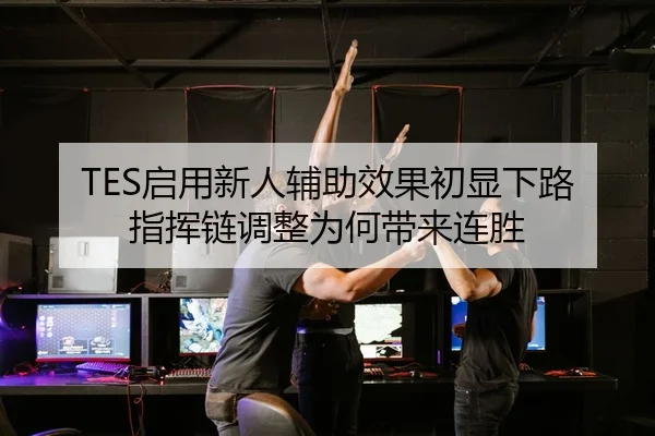 TES启用新人辅助效果初显下路指挥链调整为何带来连胜